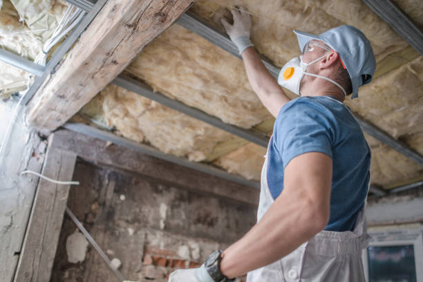 Best Types of Insulation in Gold Canyon, AZ