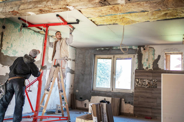 Best Insulation Maintenance and Repair in Gold Canyon, AZ