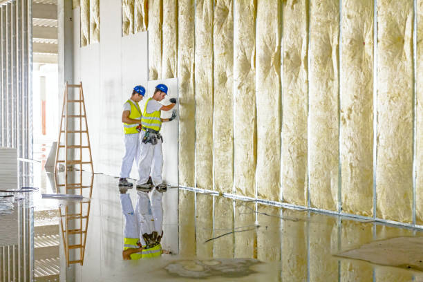 Best Commercial Insulation in Gold Canyon, AZ